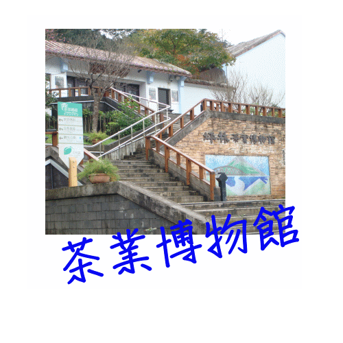 茶業博物館